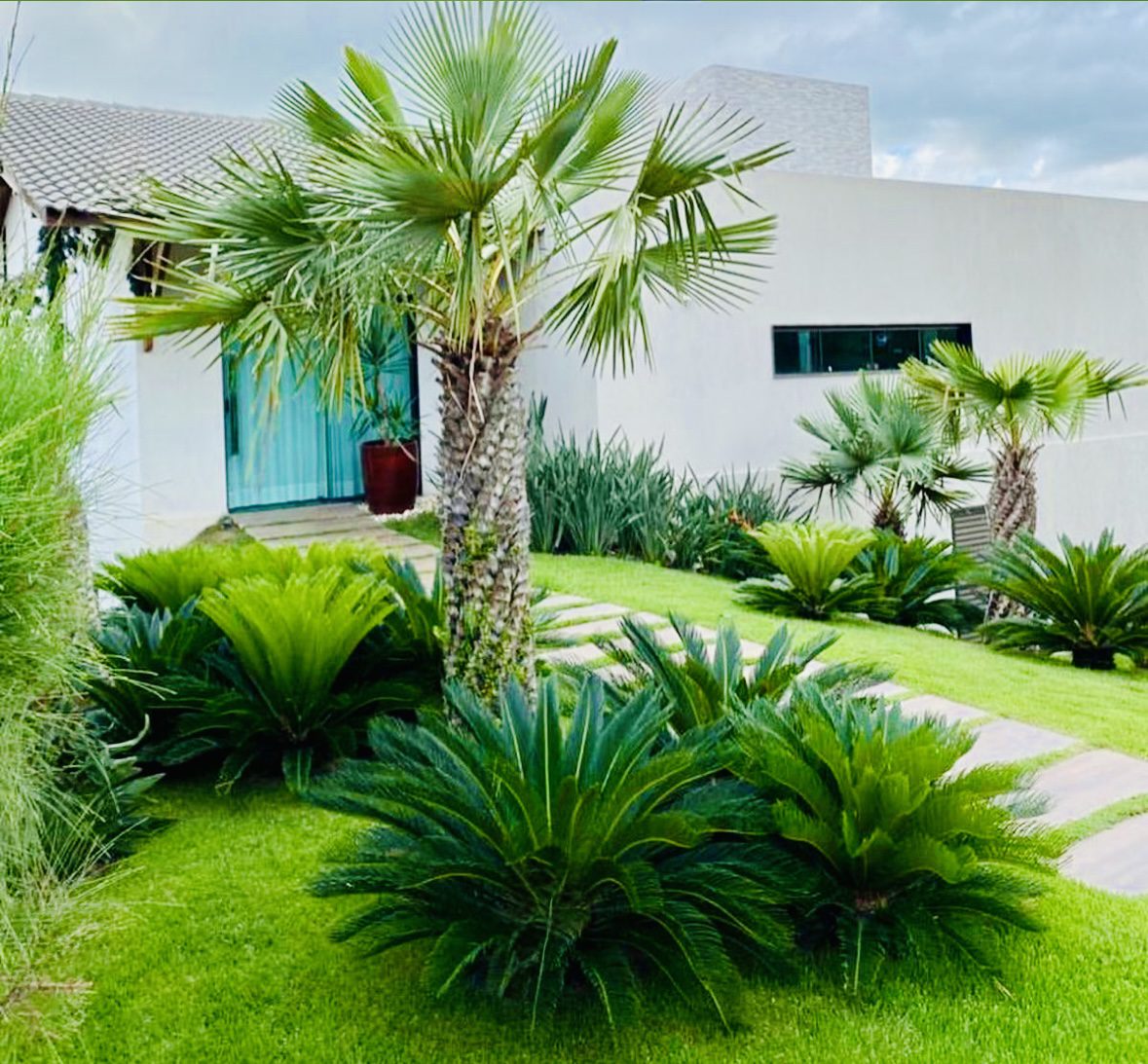 Soft Landscaping